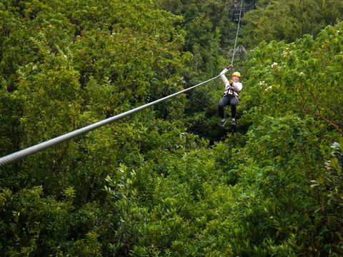 Monteverde Extremo Park