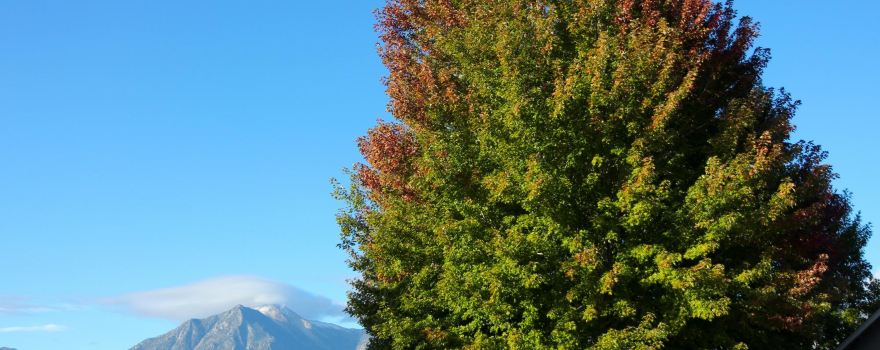 Gardnerville