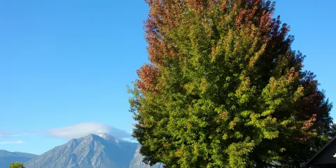Carson Valley Museum & Cultural Center