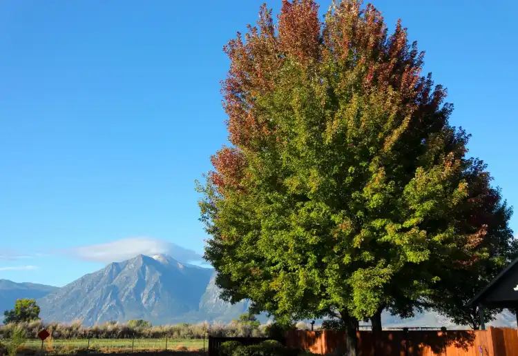 Hôtels à : Gardnerville