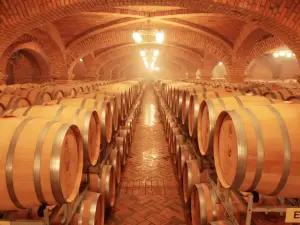 Vinicola Salton