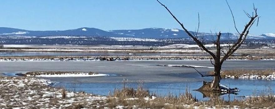 Modoc National Wildlife Refuge