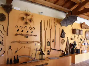 Casa Zapata