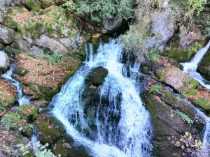 Las Fuentes del Llobregat