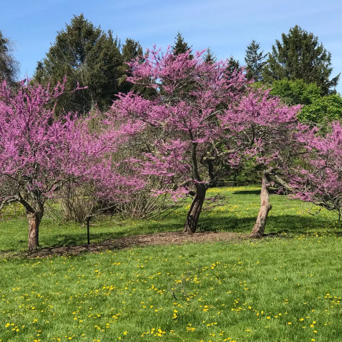 Hotels near University of Guelph Arboretum