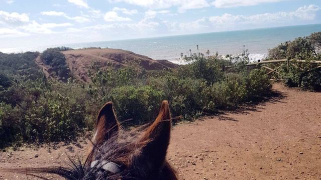 Albufeira Riding Centre
