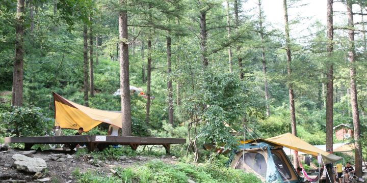 仲美山自然休養林