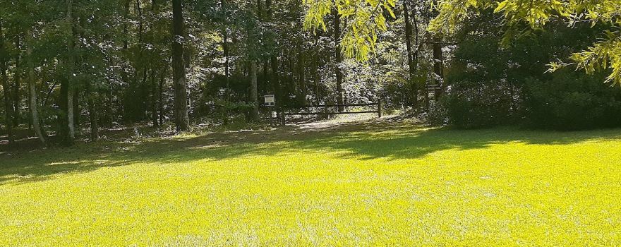 Woods Bay State Park