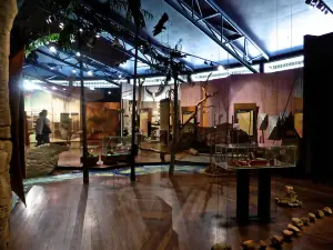 Warradjan Aboriginal Cultural Centre