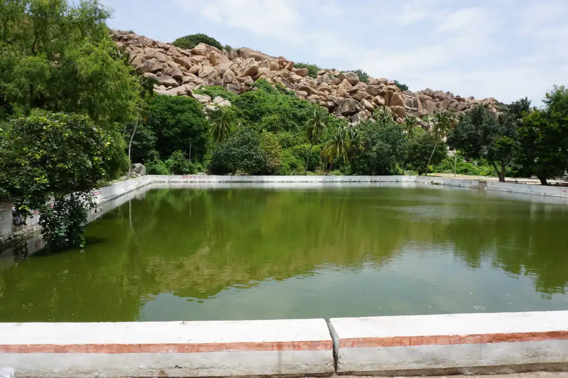 Hotels near Pampa Sarovar