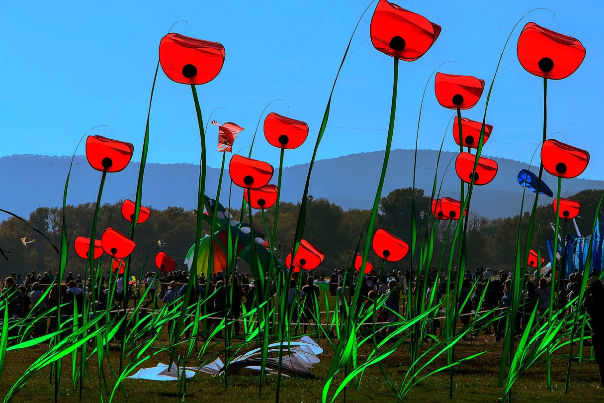 2_Base Nature Francois Leotard