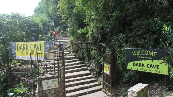 Dark Cave Malaysia