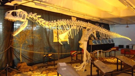 Museu Da Ciência De São Carlos Prof. Mario Tolentino