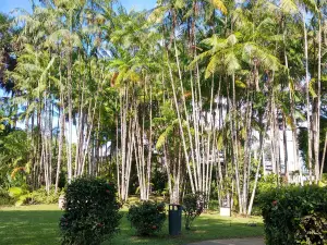 Jardin Botanique