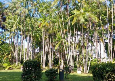 Jardin Botanique