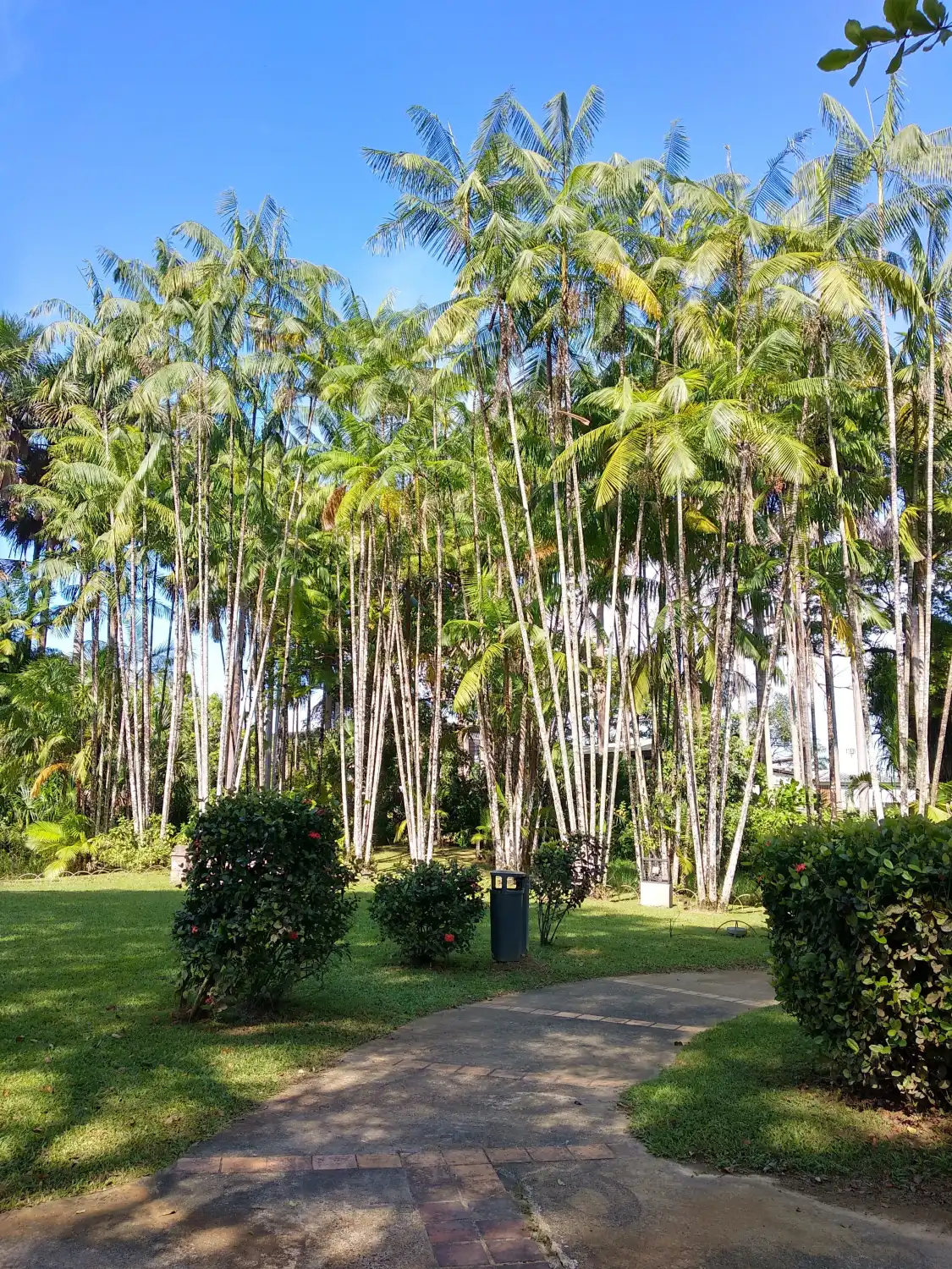 Hotels near Jardin Botanique