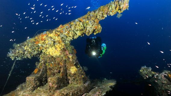 Sub Mania Diving Center