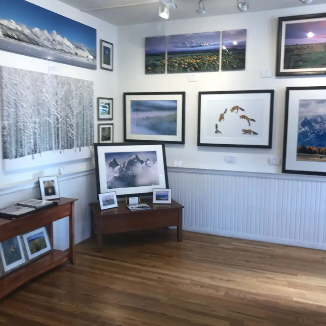 Отели рядом с достопримечательностью «Wild By Nature Gallery»