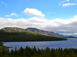 Trout River Pond