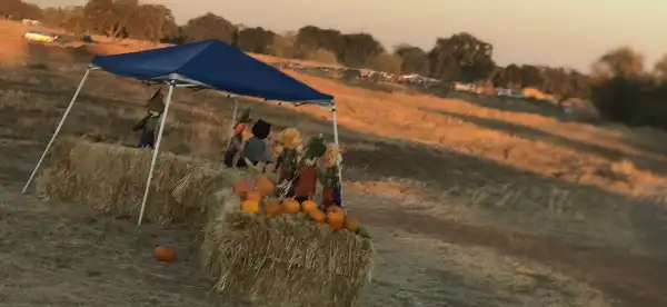 アンテロープのホテル