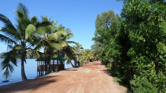 Tamatave