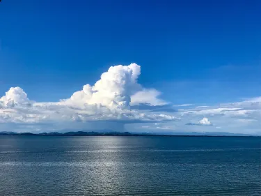 Gulf Of Fonseca