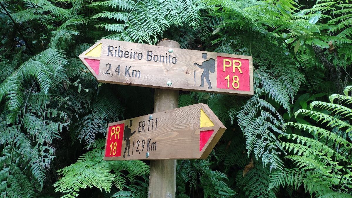 Levada Do Reí