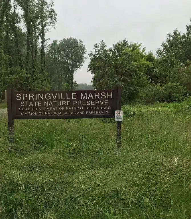 Big Spring Township