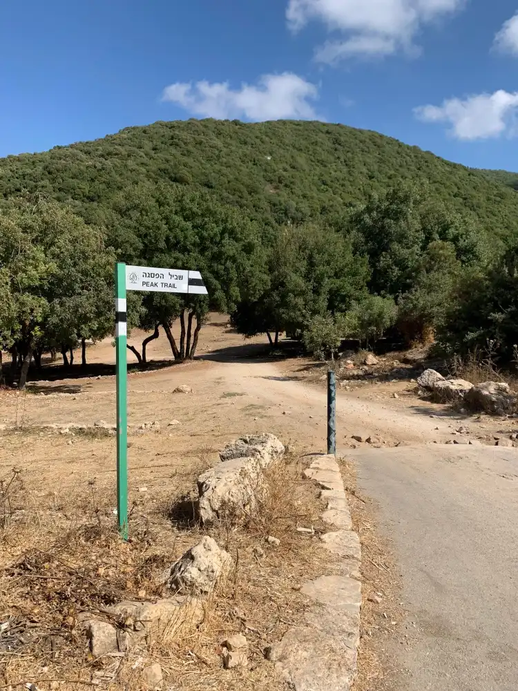 Merom HaGalil Regional Council