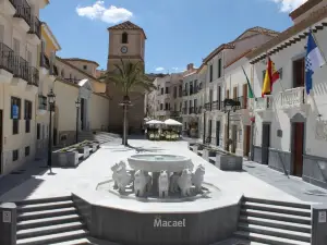 Fuente de los Leones