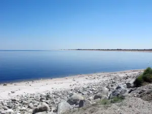 Государственная зона отдыха Солтон Си