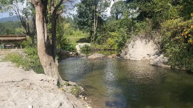 Hotels near Maeklang Elephant Conservation Community