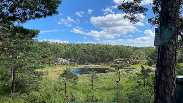 Tinntjønn Frisbeegolfpark