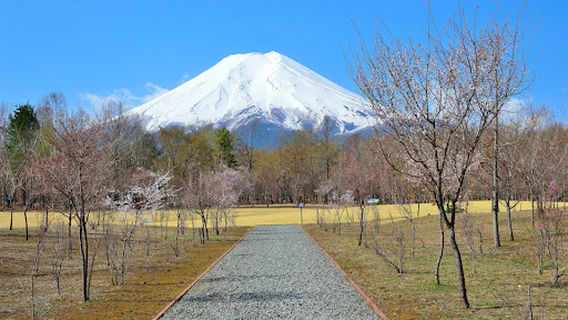 富士山人民公園