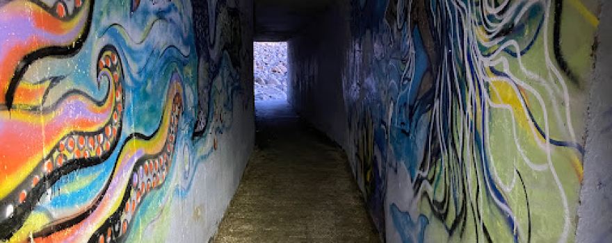 The Tunnel