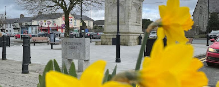 Downshire Monument