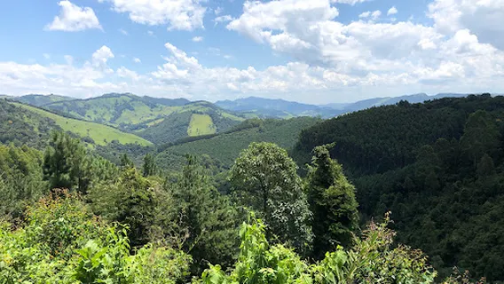 Termometro Oficial De Monte Verde