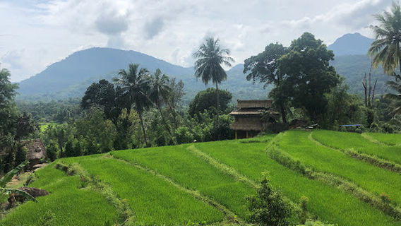 Sri Lanka Treks & Hiking