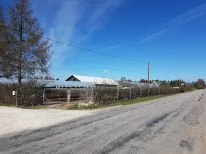 Seedri Puukool OÜ