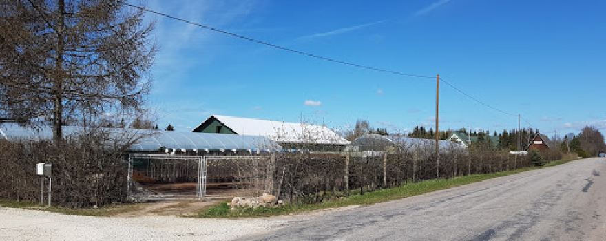 Seedri Puukool OÜ