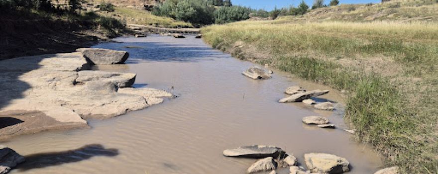 dinosaur footprints