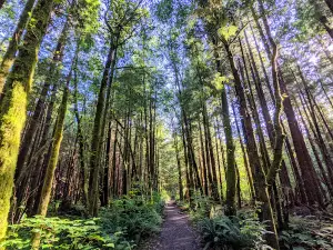 Third Beach Trailhead