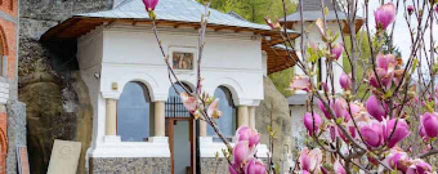 Biserica Intrarea în Biserică a Maicii Domnului