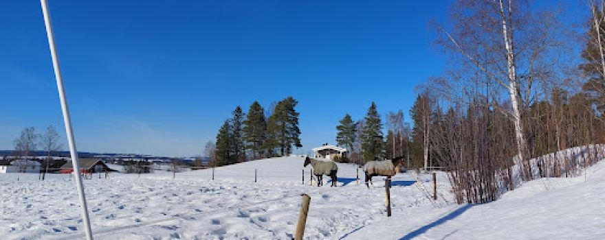 Norsk Hestesenter