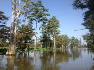 Felsenthal National Wildlife Refuge