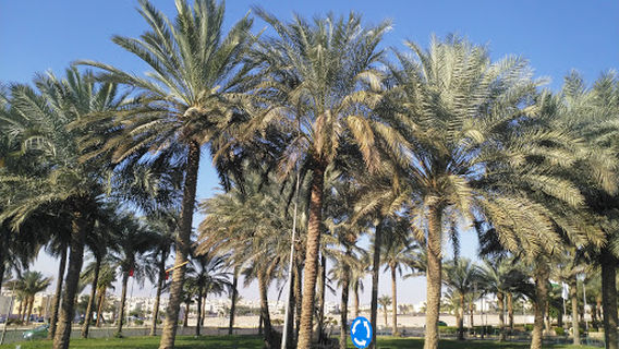 King Abdullah Garden