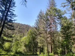 Steel Bridge Campground