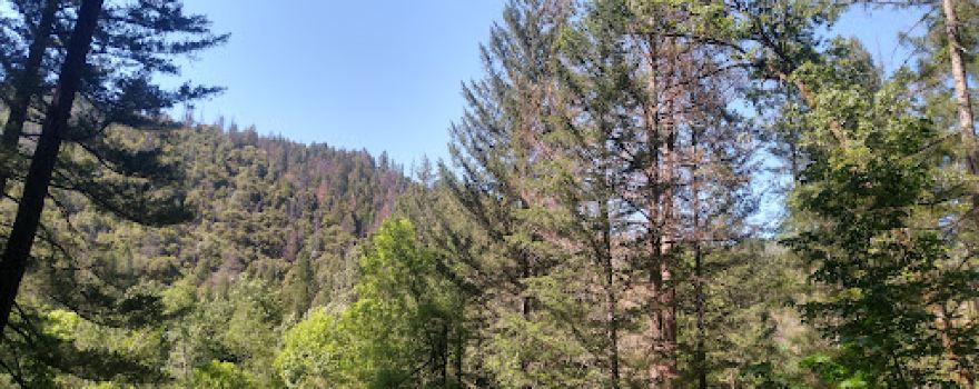 Steel Bridge Campground