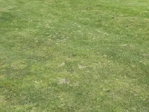 Willow Springs Golf & Country