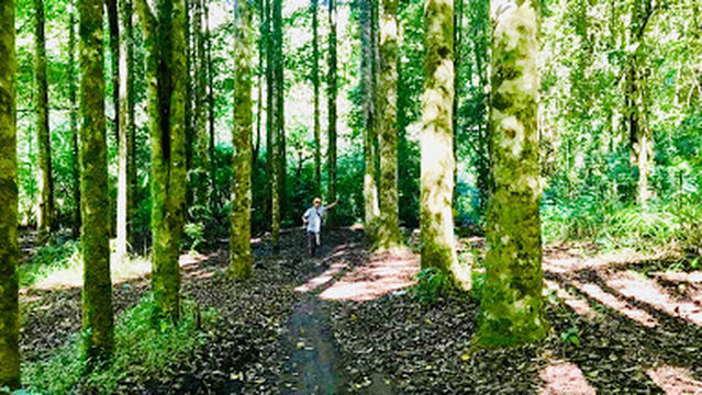 Camping Ground Buyan II